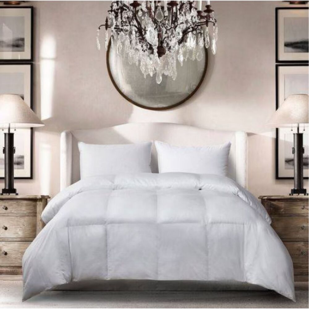 Blue Ridge Home Fashions Microfiber Down Alternative Comforter Full/Queen